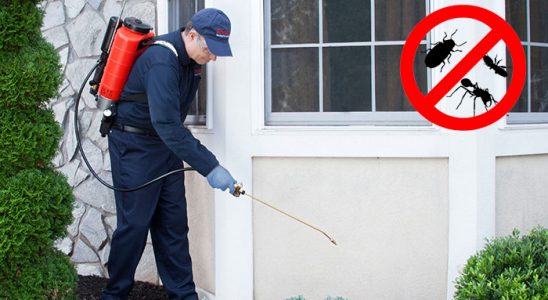 Kırkağaç Kemirgen İlaçlama böcek ilaçlama ve haşere kontrolü — ilaclama-tr.com